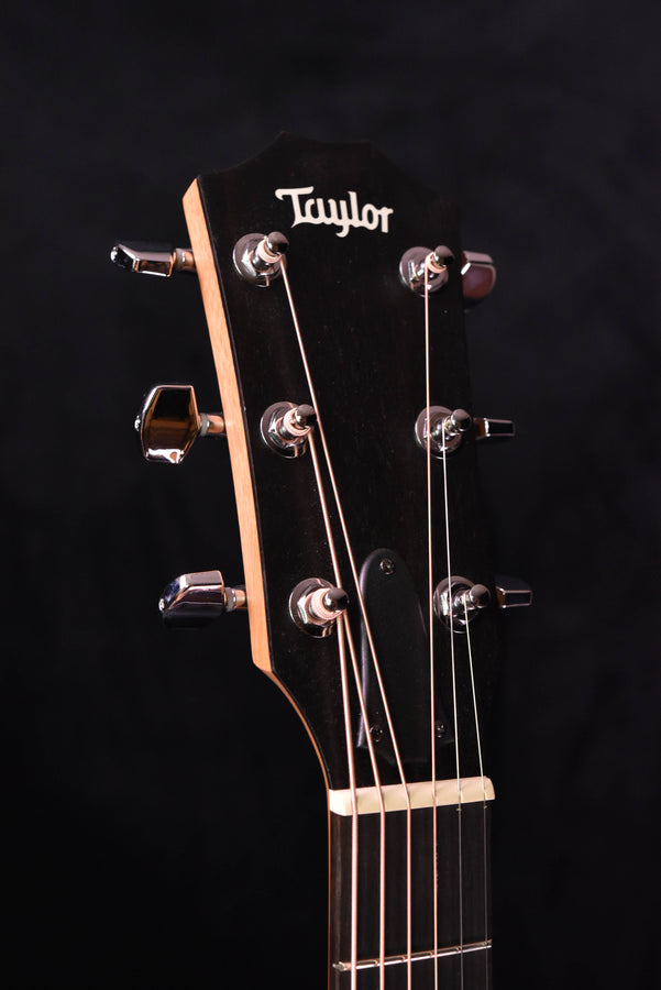 Acoustic guitar headstock with Taylor logo, chrome tuning machines, and tuning pegs