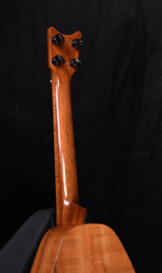 Tenor ukulele headstock on koa wood neck with black tuning pegs