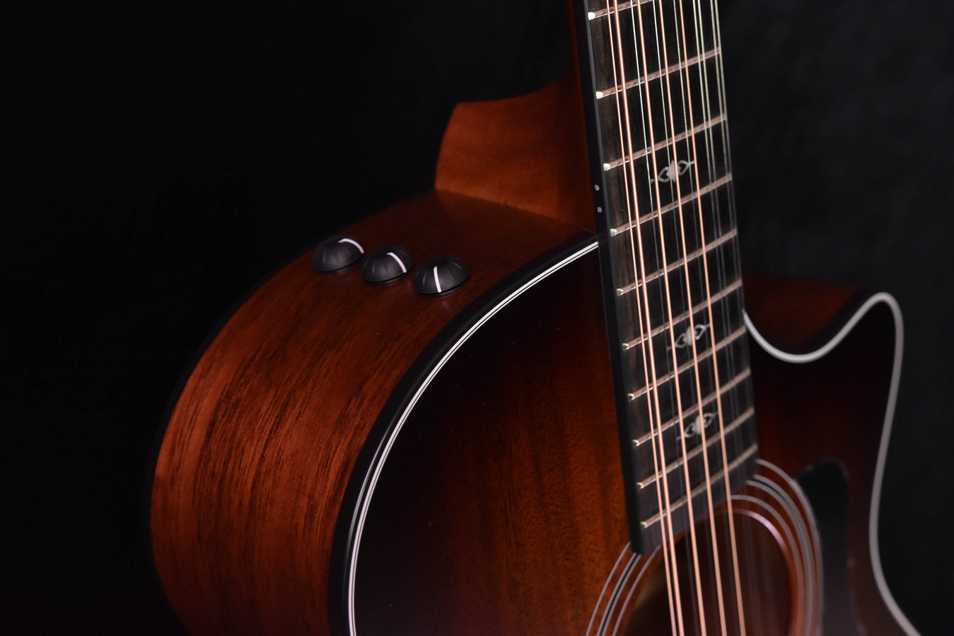 Taylor 362CE Mahogany/Tasmanian Blackwood  12 String Guitar