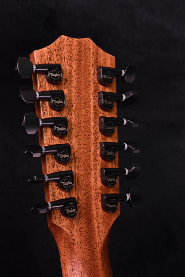 Taylor 362CE Mahogany/Tasmanian Blackwood  12 String Guitar