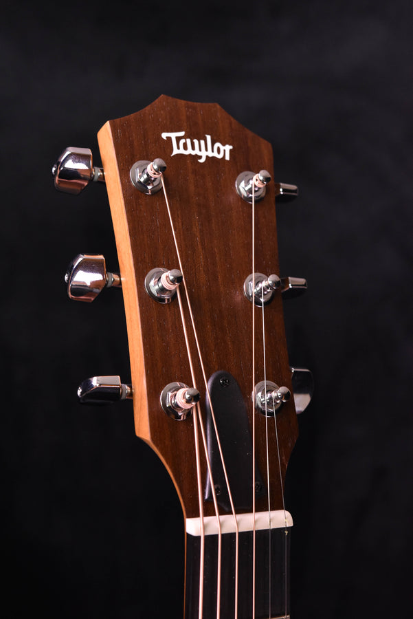 Taylor Kopfplatte mit Mechaniken und Markenlogo