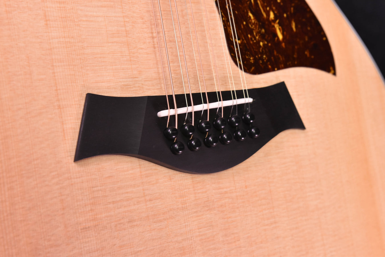 Taylor 254CE 12 String Guitar