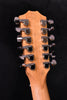 Taylor 254CE 12 String Guitar