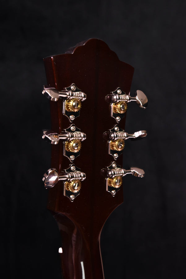 D-40 dreadnought guitar headstock tuning hardware close-up