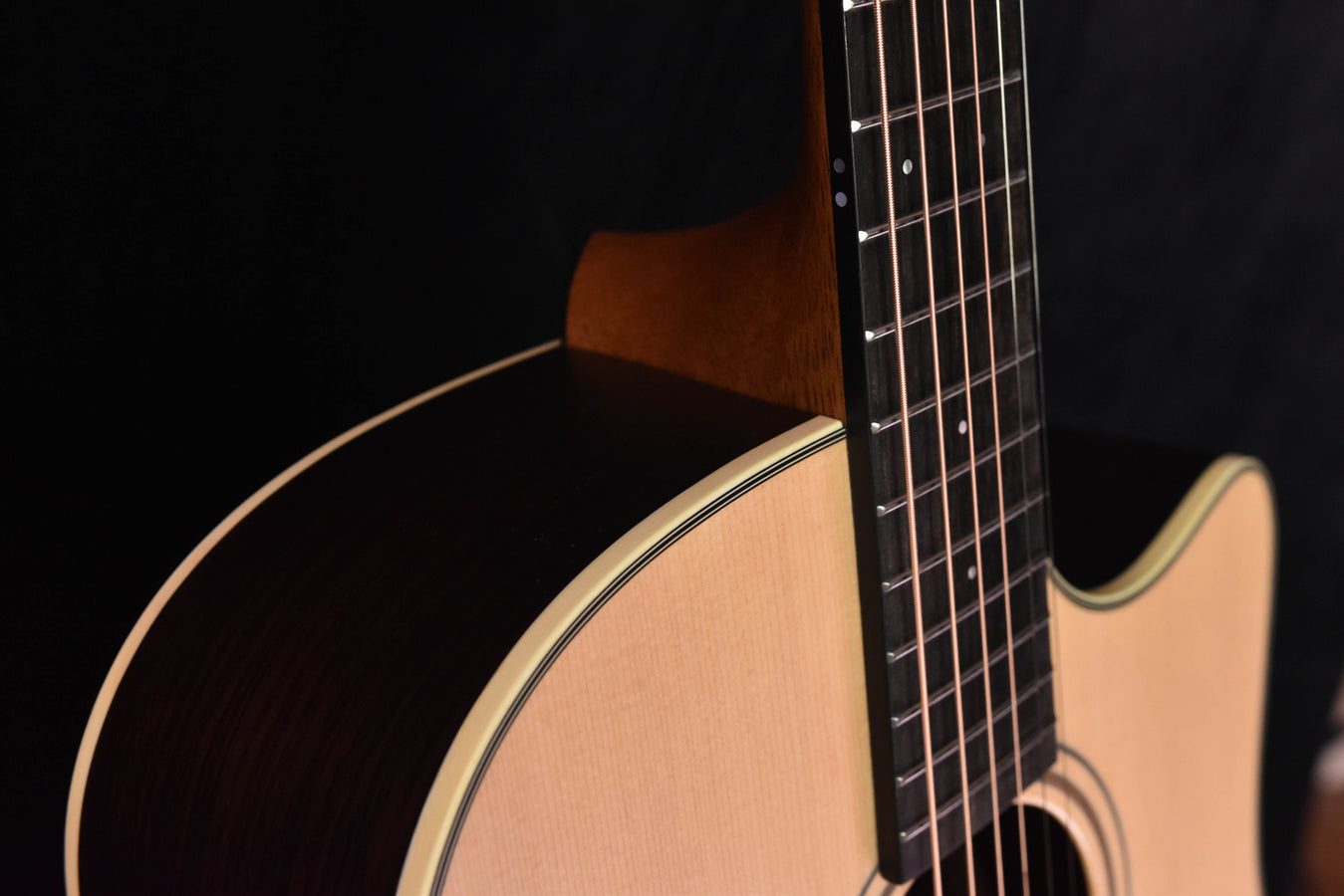 Furch Master's Choice Green Dreadnought Guitar with  DC-SR LR Baggs SPE Pickup