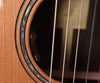Furch Grand Nylon String Crossover Guitar GNc4-CR EAS