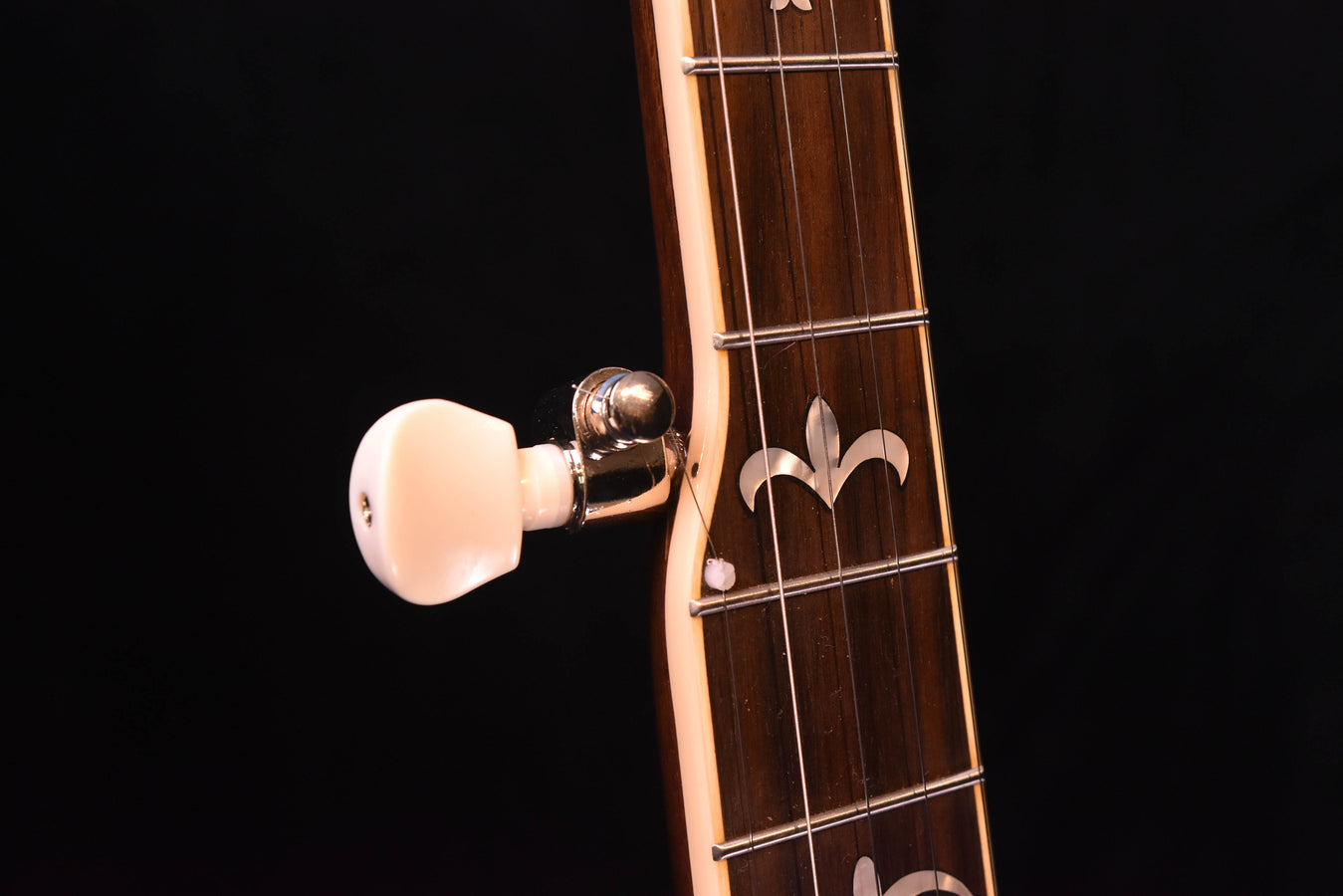 Recording King Madison Tone Ring Banjo- Mahogany RK-R36-BR