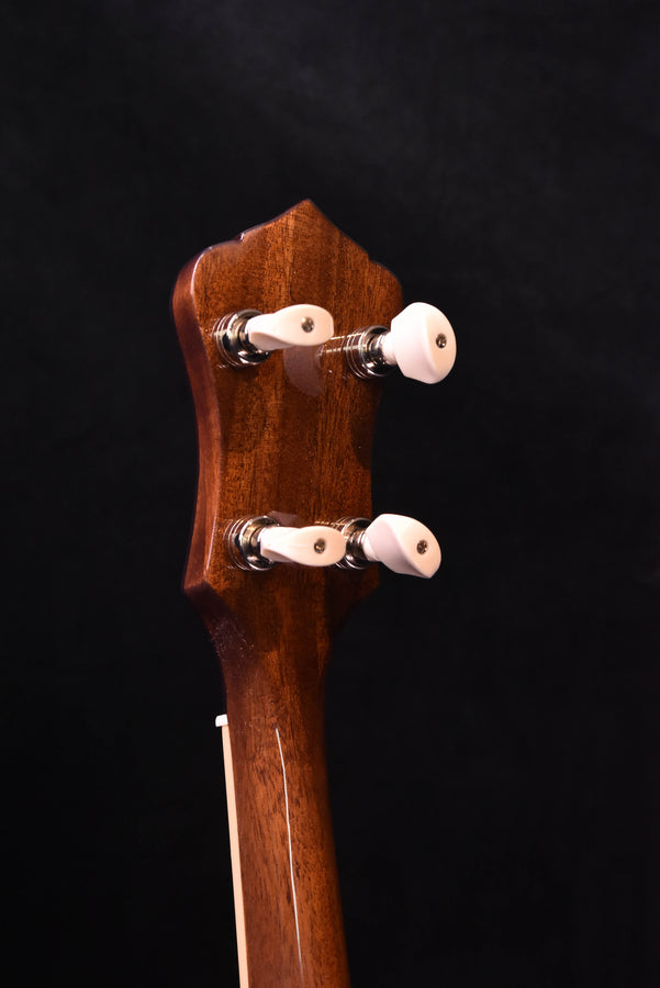 Recording King Madison Tone Ring Banjo- Mahogany RK-R36-BR