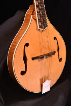 bourgeois a style mandolin m5-a