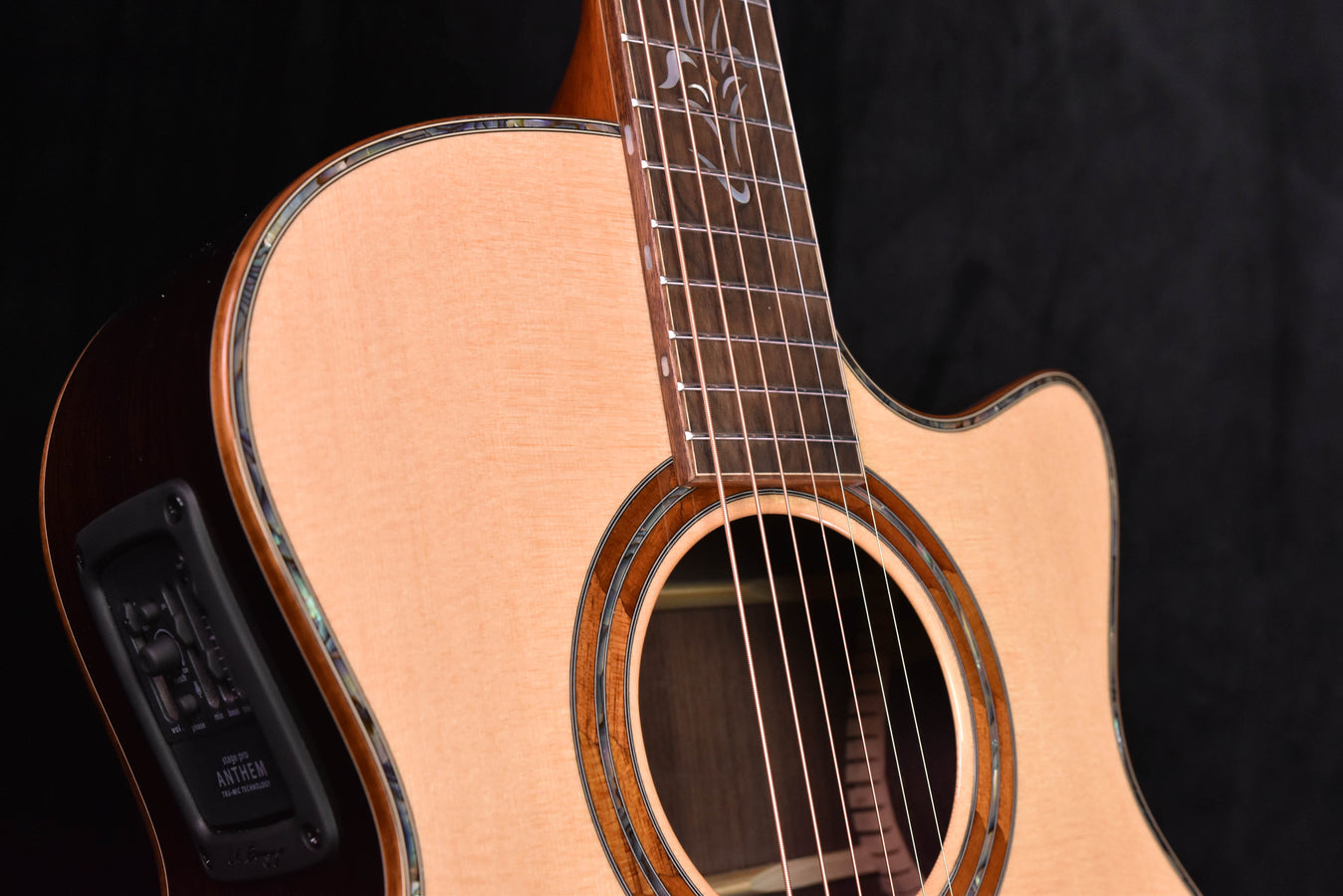 Acoustic cutaway guitar front close-up with soundhole rosette and side pickup module