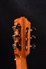 Cordoba C12 Cedar top Classical Guitar with case