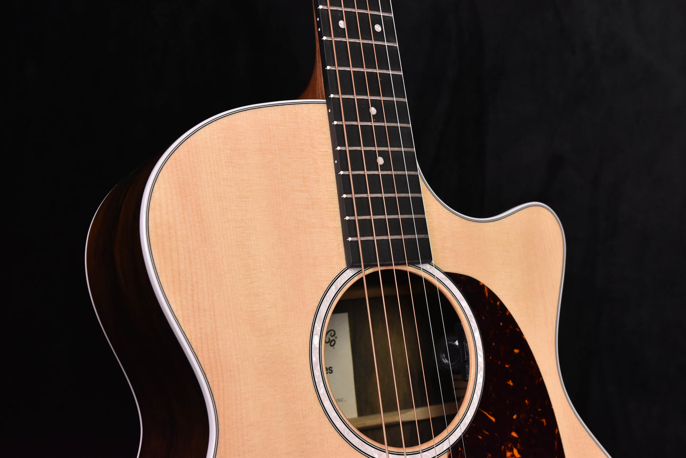 Acoustic-electric guitar body with sound hole and tortoiseshell-style pickguard