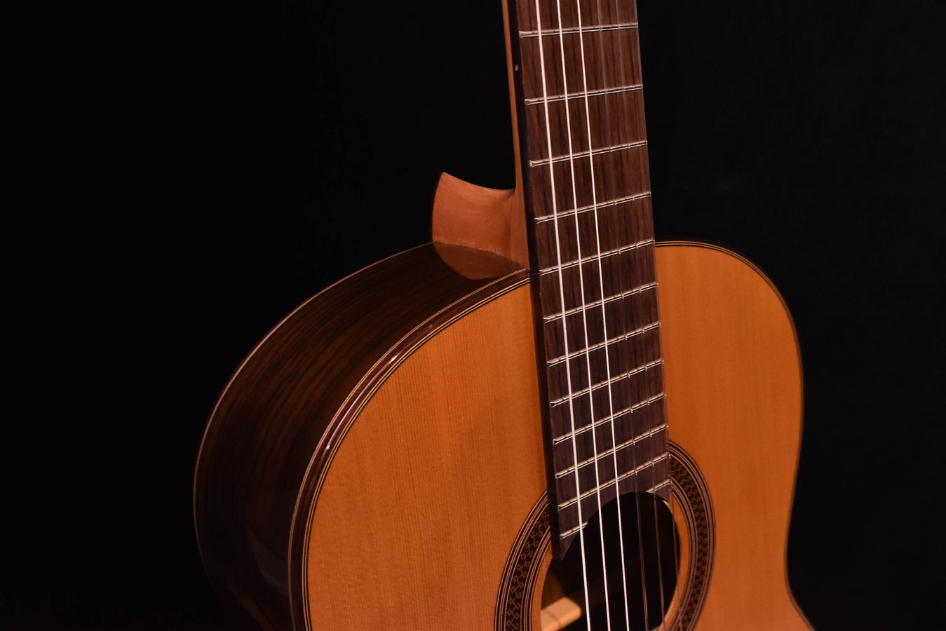Cedar String Cordoba C7 Cedar Top Classical Nylon String Guitar
