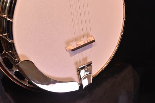 recording king madison tone ring banjo- maple rk-r35-br