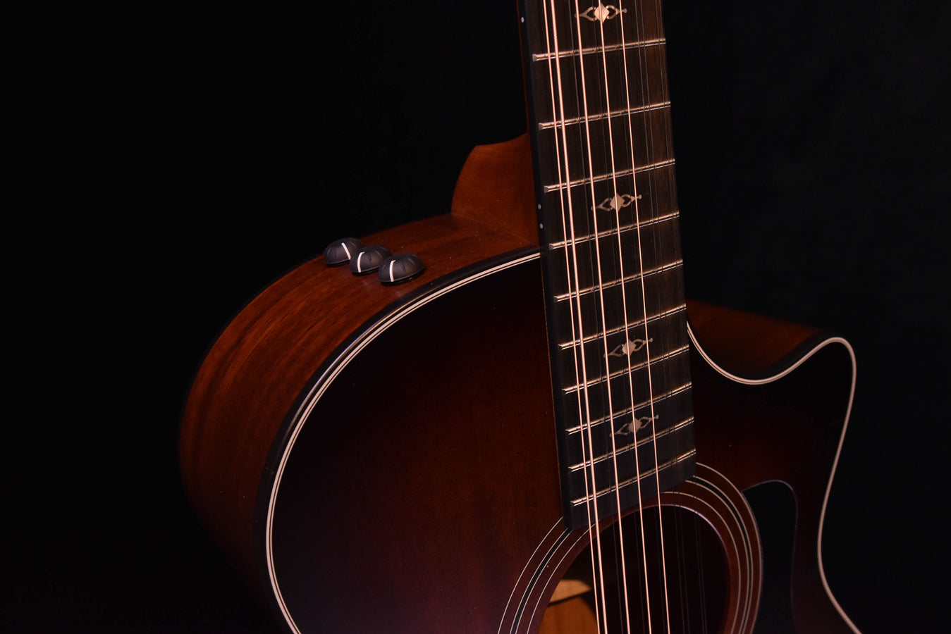 Taylor 362CE Mahogany/Tasmanian Blackwood  12 String Guitar