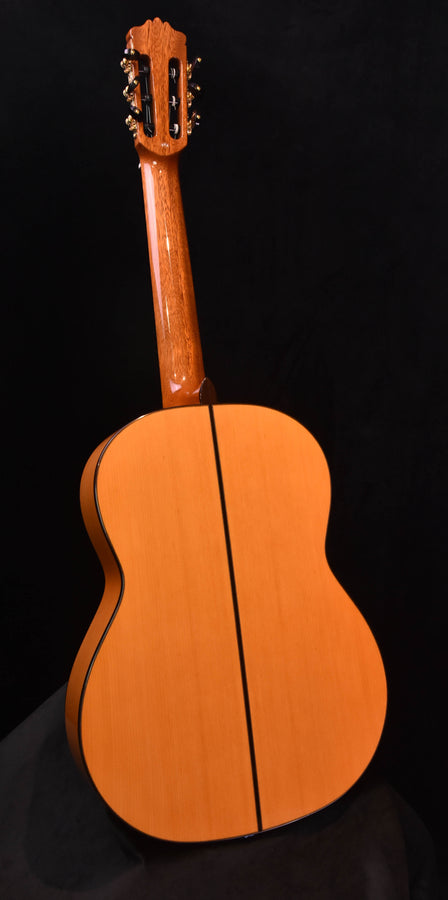 Cordoba F10 Flamenco Guitar with Rigid Polyfoam Case