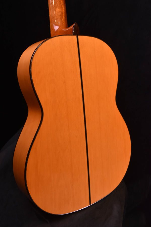 Cordoba F10 Flamenco Guitar with Rigid Polyfoam Case