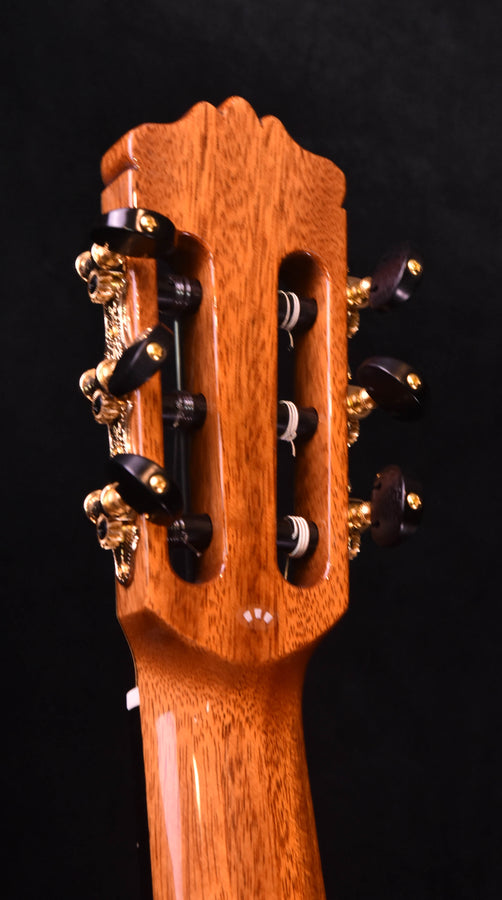 Cordoba F10 Flamenco Guitar with Rigid Polyfoam Case