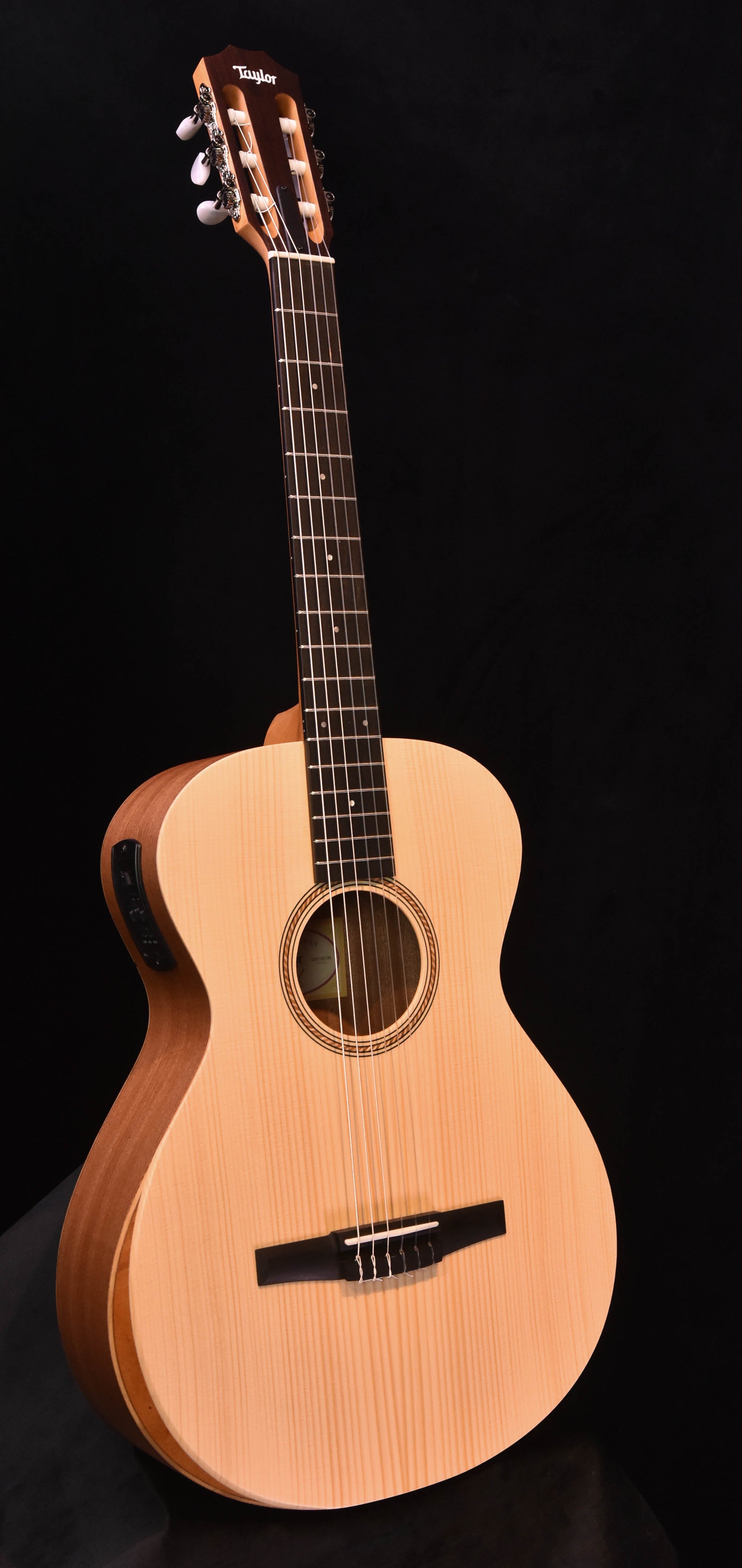 Taylor - Academy 12e-N Nylon