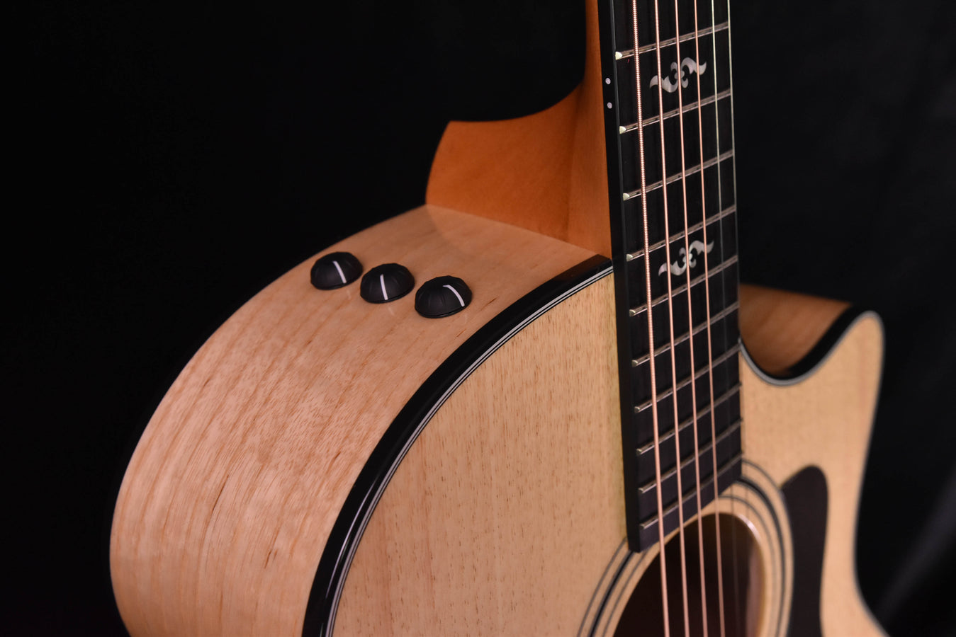 Taylor 424CE LTD all Urban Ash "Black and white" Fall Limited Edition Acoustic Electric Guitar