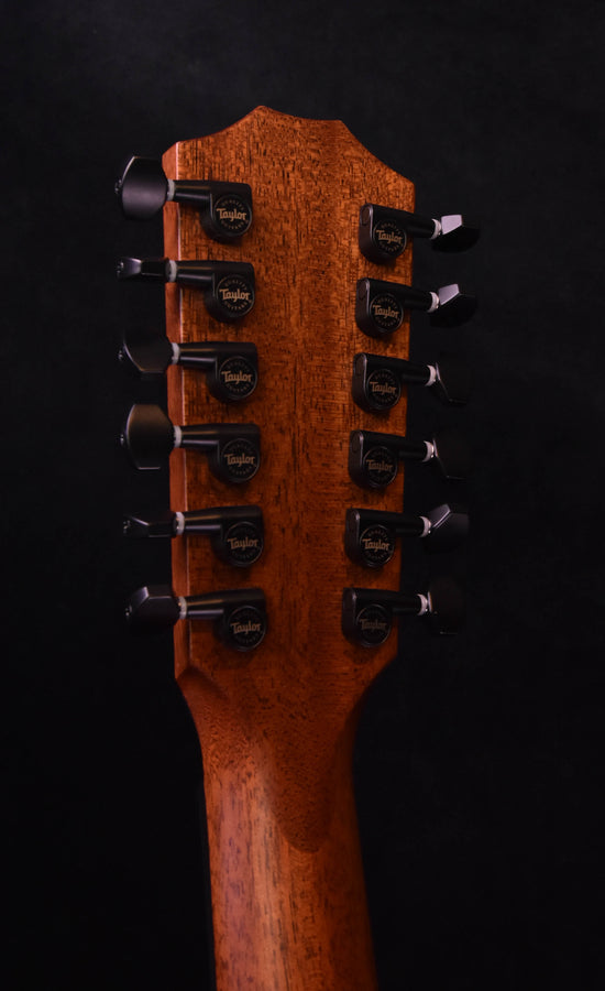 Taylor 362CE Mahogany/Tasmanian Blackwood  12 String Guitar