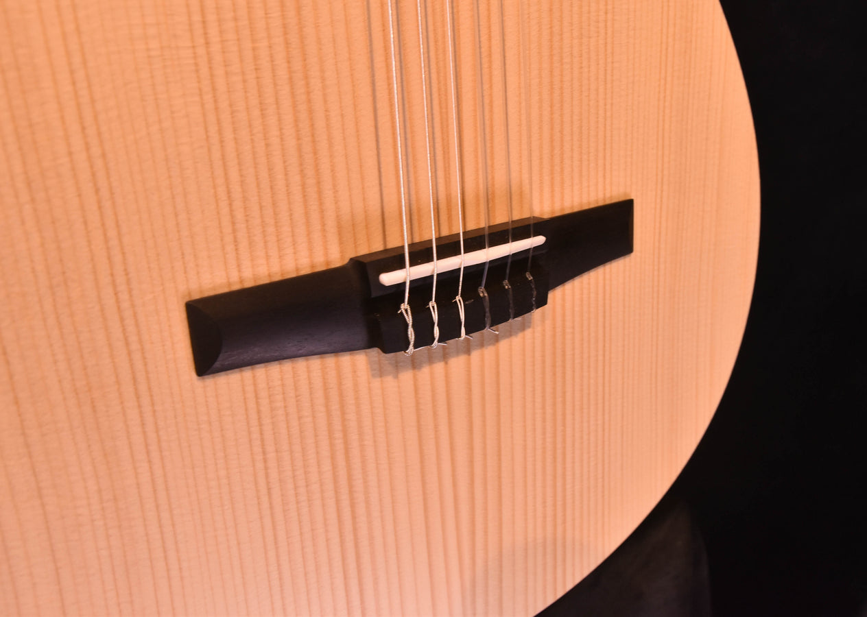 Taylor Academy 12E-N Acoustic Electric Nylon String Crossover Guitar