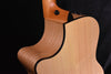 Taylor 424CE LTD all Urban Ash "Black and white" Fall Limited Edition Acoustic Electric Guitar