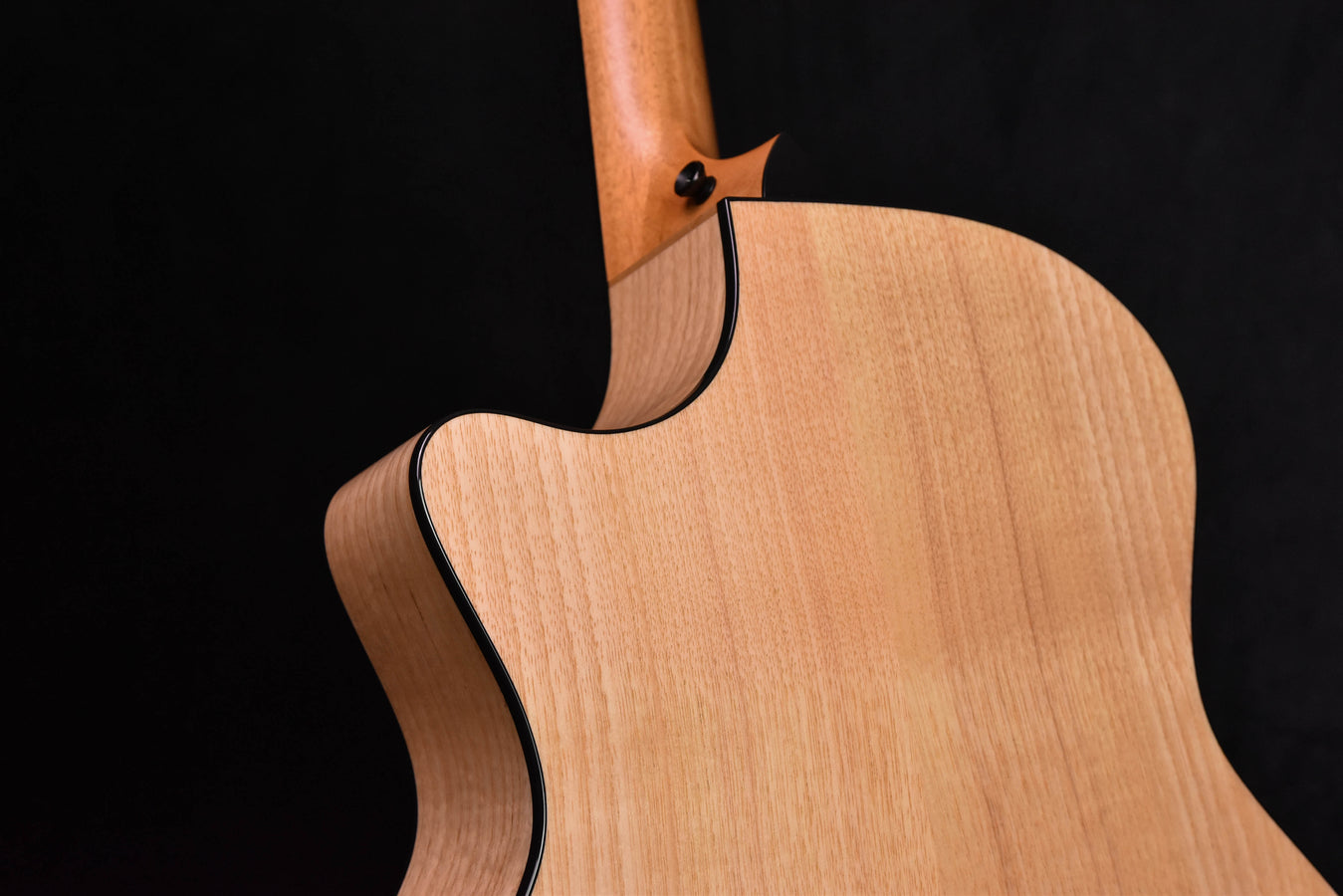 Taylor 424CE LTD all Urban Ash "Black and white" Fall Limited Edition Acoustic Electric Guitar