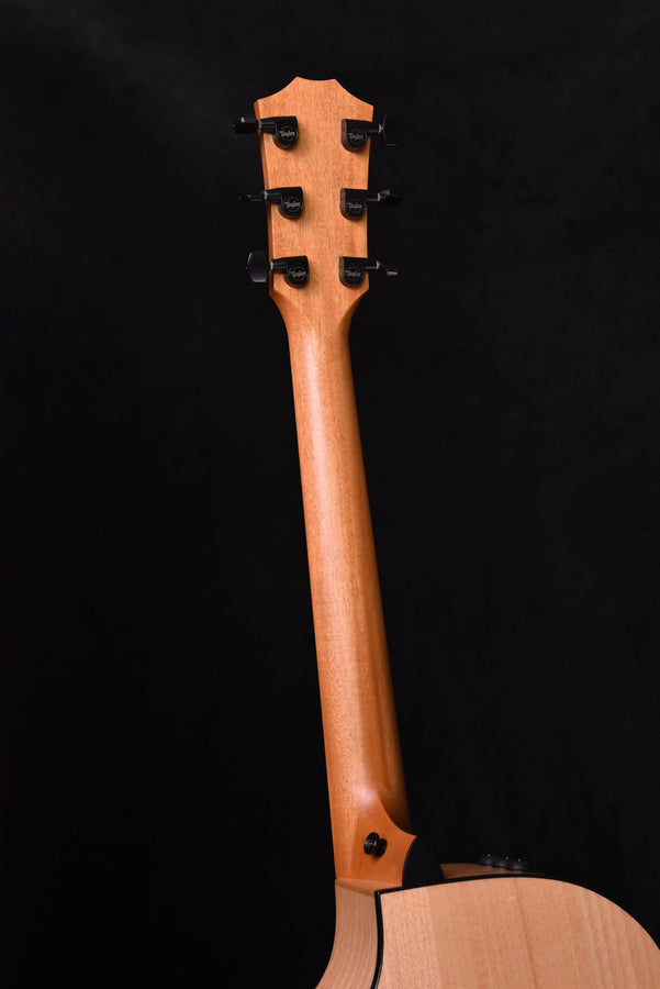 Taylor 424CE LTD all Urban Ash "Black and white" Fall Limited Edition Acoustic Electric Guitar