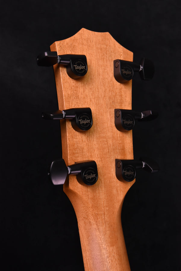 Taylor 424CE LTD all Urban Ash "Black and white" Fall Limited Edition Acoustic Electric Guitar