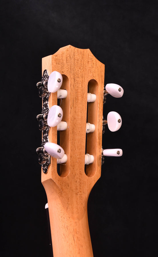 Taylor Academy 12E-N Acoustic Electric Nylon String Crossover Guitar