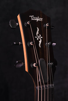 taylor 424ce ltd all urban ash "black and white" fall limited edition acoustic electric guitar