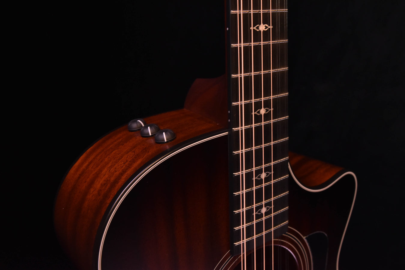 Taylor 362CE Mahogany/Tasmanian Blackwood  12 String Guitar