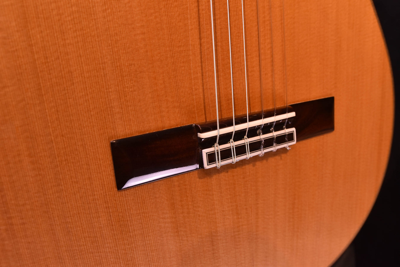 Cedar String Cordoba C7 Cedar Top Classical Nylon String Guitar