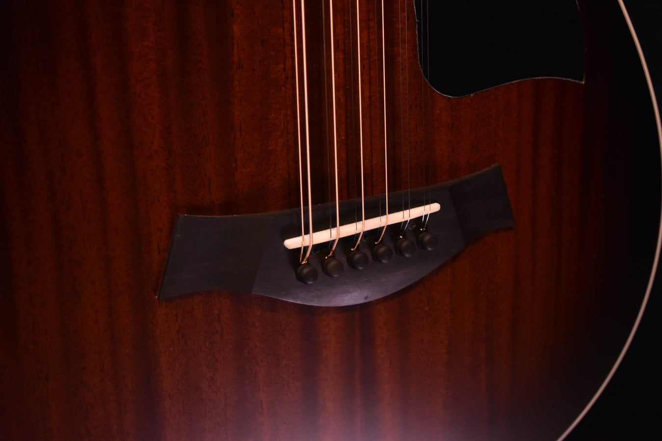 Taylor 362CE Mahogany/Tasmanian Blackwood  12 String Guitar