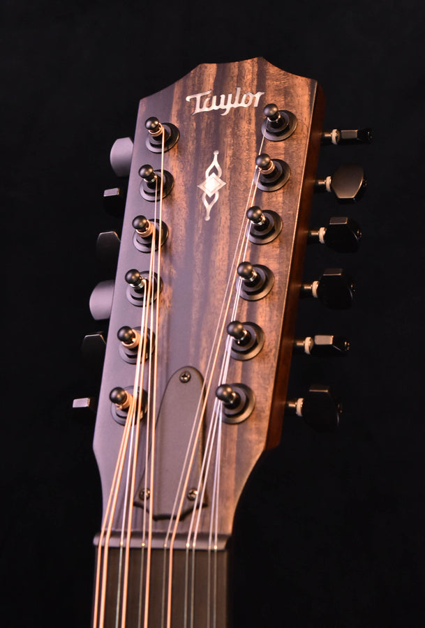 Taylor 362CE Mahogany/Tasmanian Blackwood  12 String Guitar