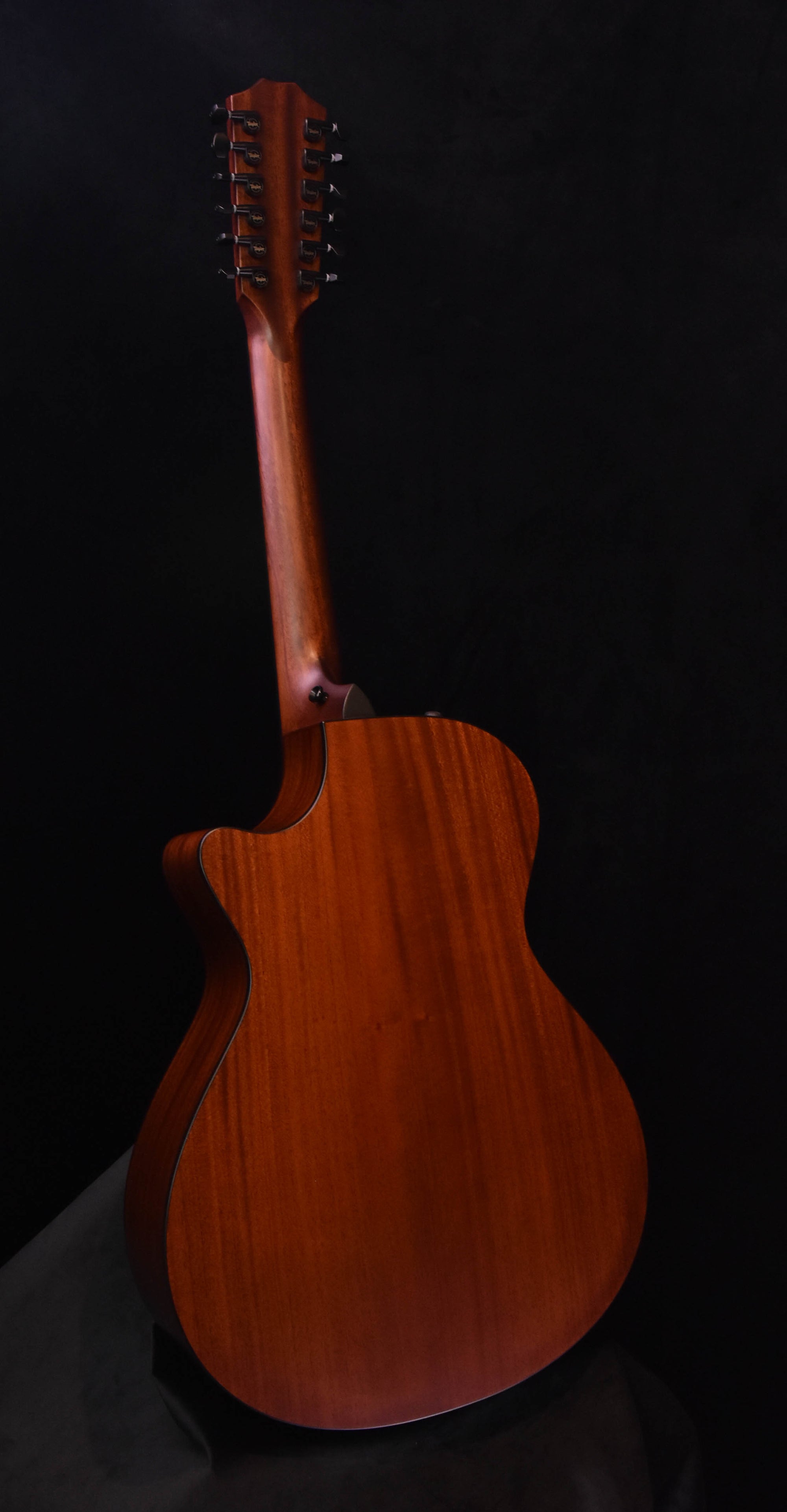 Taylor 362CE Mahogany/Tasmanian Blackwood 12 String Guitar