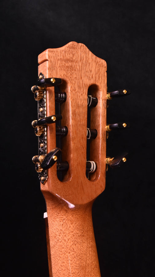 Cordoba C7 Cedar Top Classical Nylon String Guitar