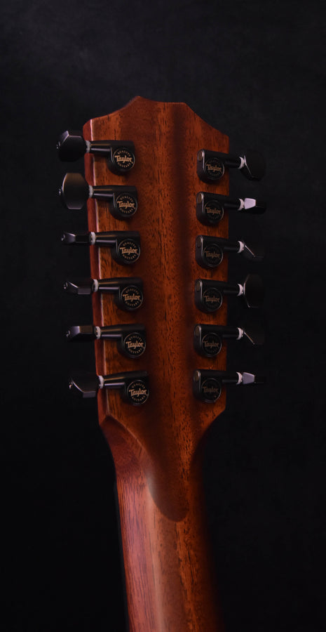 Taylor 362CE Mahogany/Tasmanian Blackwood  12 String Guitar