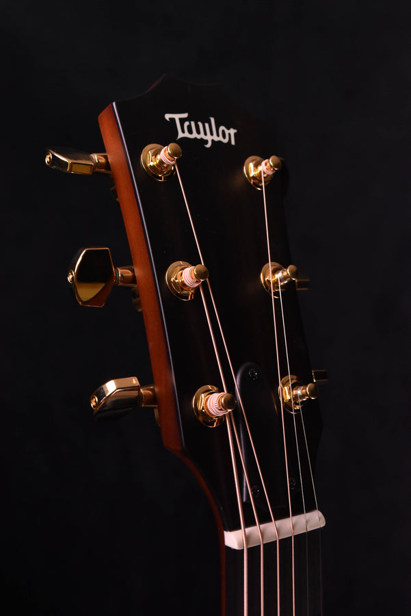 Taylor acoustic-electric guitar headstock, gold tuning pegs and logo, close side view