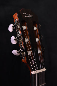 taylor 312ce-n nylon string crossover