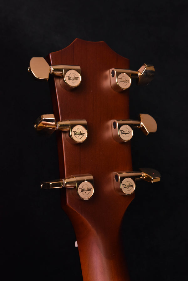 Guitar headstock close-up with 'Taylor' stamped tuner buttons