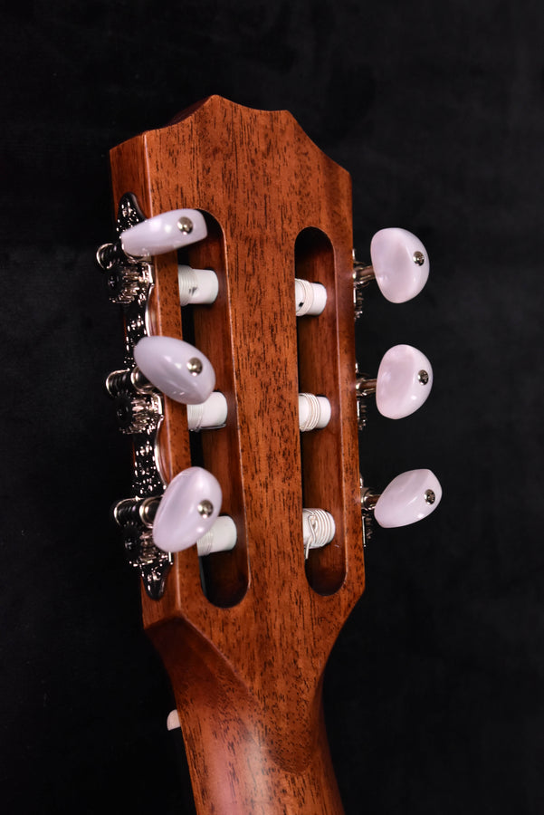 Taylor 312CE-N Nylon String Crossover