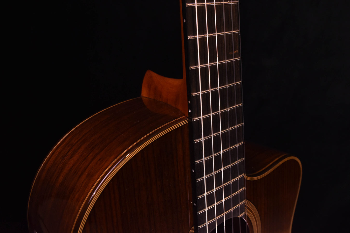 Cordoba Fusion 12 Rose II Nylon String Crossover Guitar