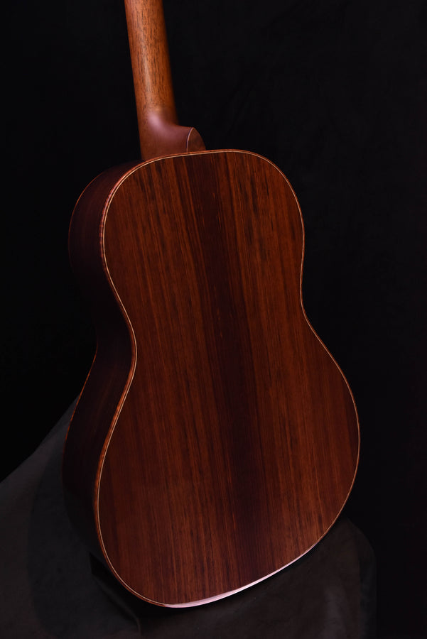 Acoustic guitar full back view with dark wood finish and binding detail