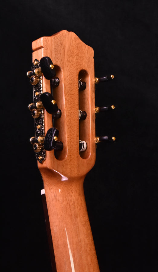 Cordoba C7 Classical Guitar Spruce Top