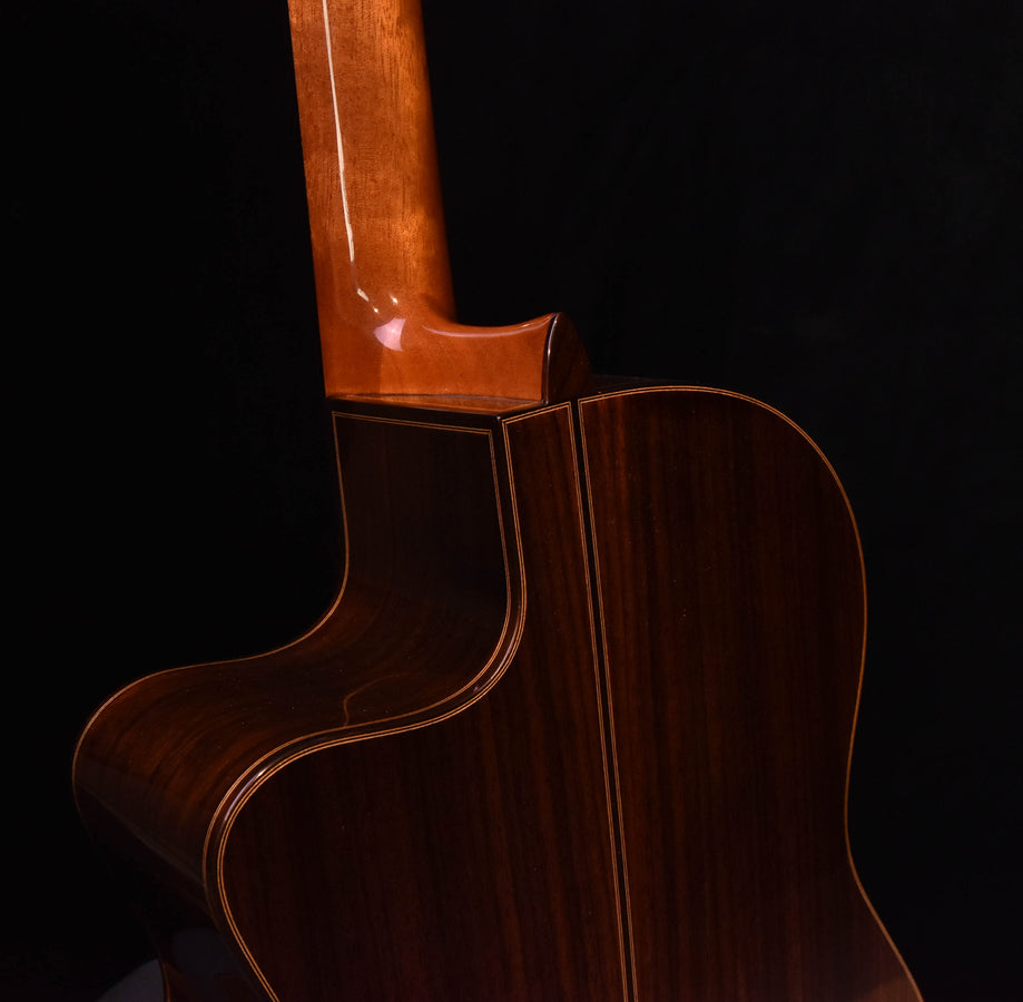 Guitar top and soundhole area with cutaway edge, dark wood and binding