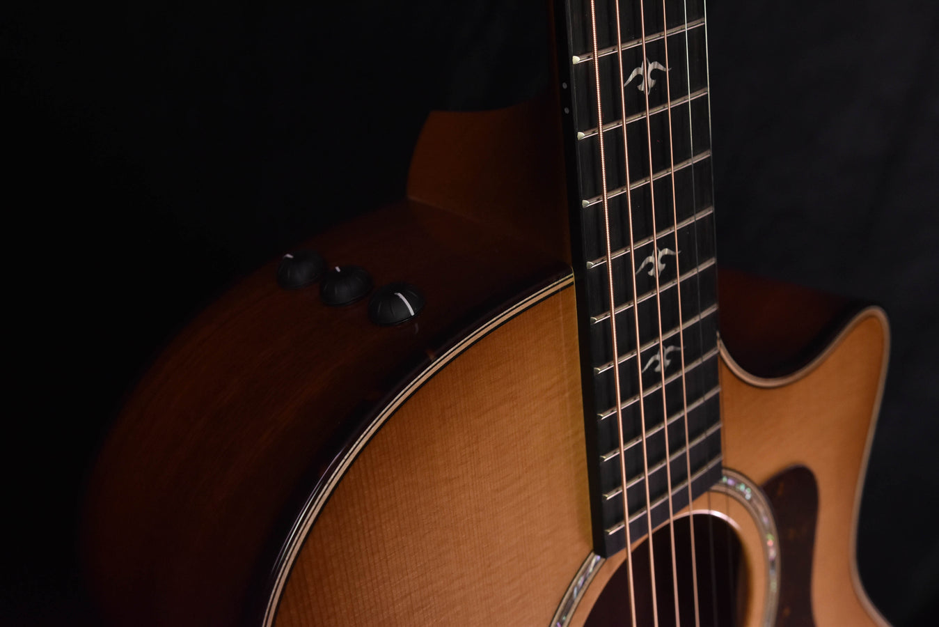 Taylor 514CE Urban Ironbark and Torrefied Sitka Spruce Acoustic-Electric Guitar
