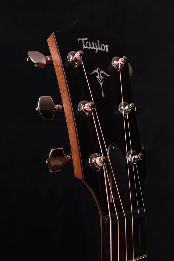 Taylor 514CE Urban Ironbark and Torrefied Sitka Spruce Acoustic-Electric Guitar
