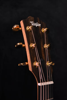 taylor 214ce-sb dlx cutaway guitar